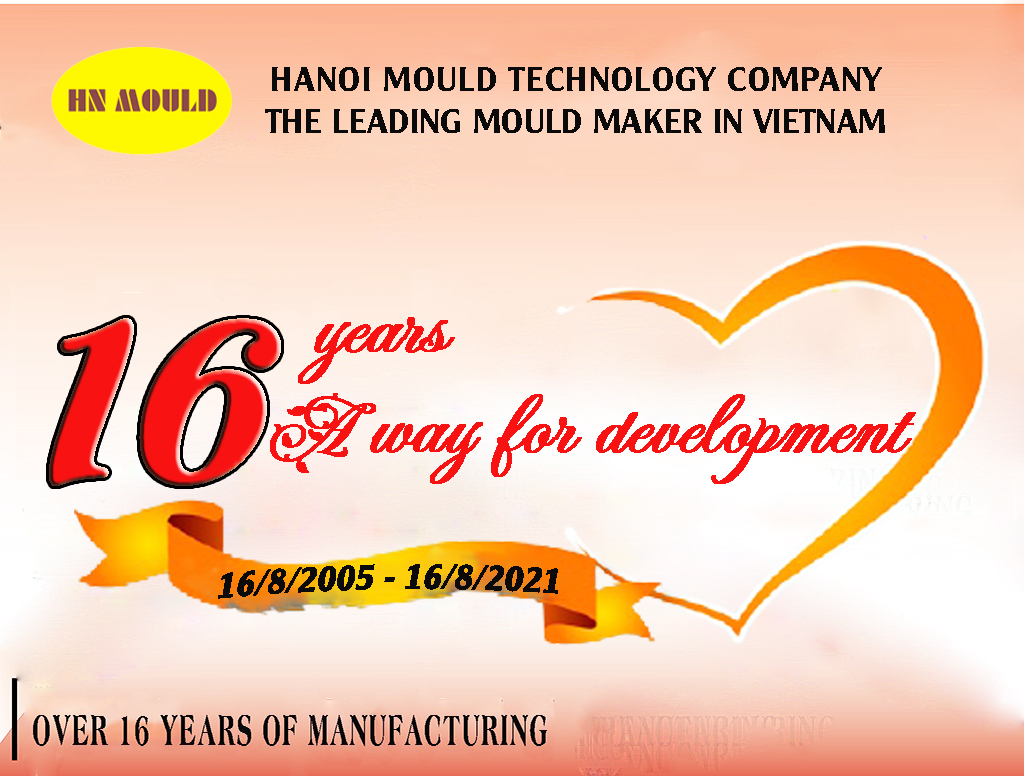 Hanoi Mould -16 years – A way for development